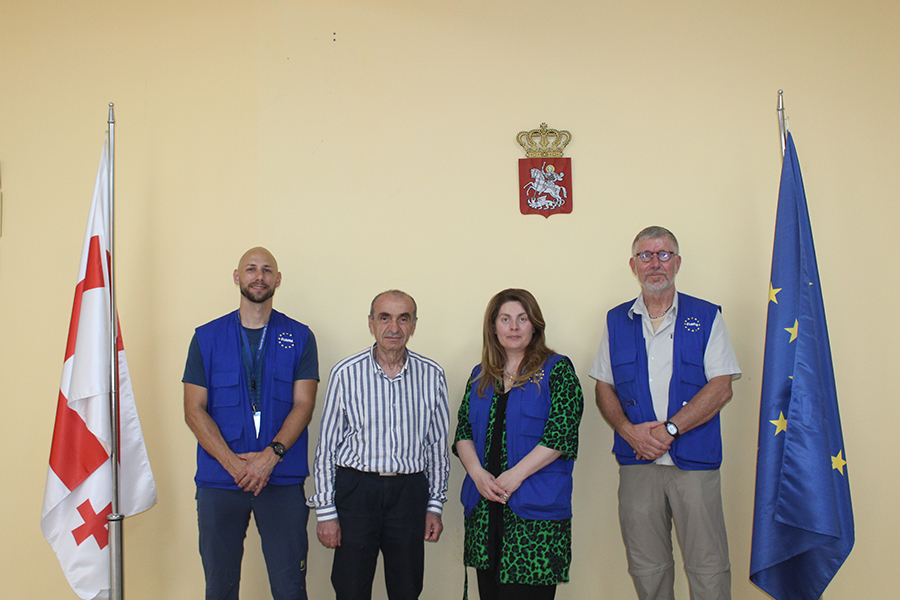 The visit of the European Union monitoring mission to the college named after Ilia Tsinamdashvili